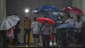 BMKG Peringatkan Angin Kencang di Jakarta hingga Besok, Warga Diminta Waspada Pohon Tumbang 