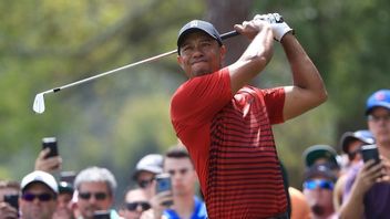 <i>Putter</i> Golf Milik Tiger Woods yang Digunakan untuk Berlatih dan Bereksperimen selama Musim 2002 Terjual Rp5,7 Miliar