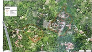 Ini Pemicu Bencana Tanah Bergerak hingga Satu Kampung di Purwakarta Dievakuasi