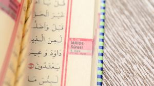 Butuh Motivasi? Ini Kumpulan Kata-Kata Bahasa Arab Bijak Lengkap dengan Terjemahannya