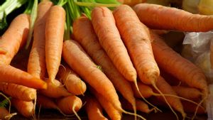 Tak Hanya Menyerap Nutrisi, Ini Ragam Fungsi Akar pada Tanaman Wortel 