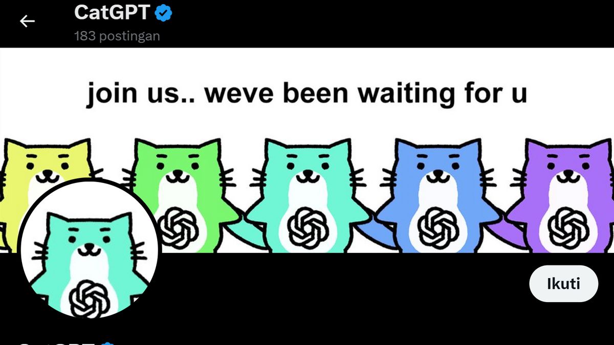 3 pièces de mème sur le thème des chatons présentent un potentiel de 100 fois plus de coins que d’autres pièces de mème