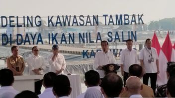 Jokowi Asks Prabowo To Continue The Nila Fish Cultivation Area Program On The Island Of Java