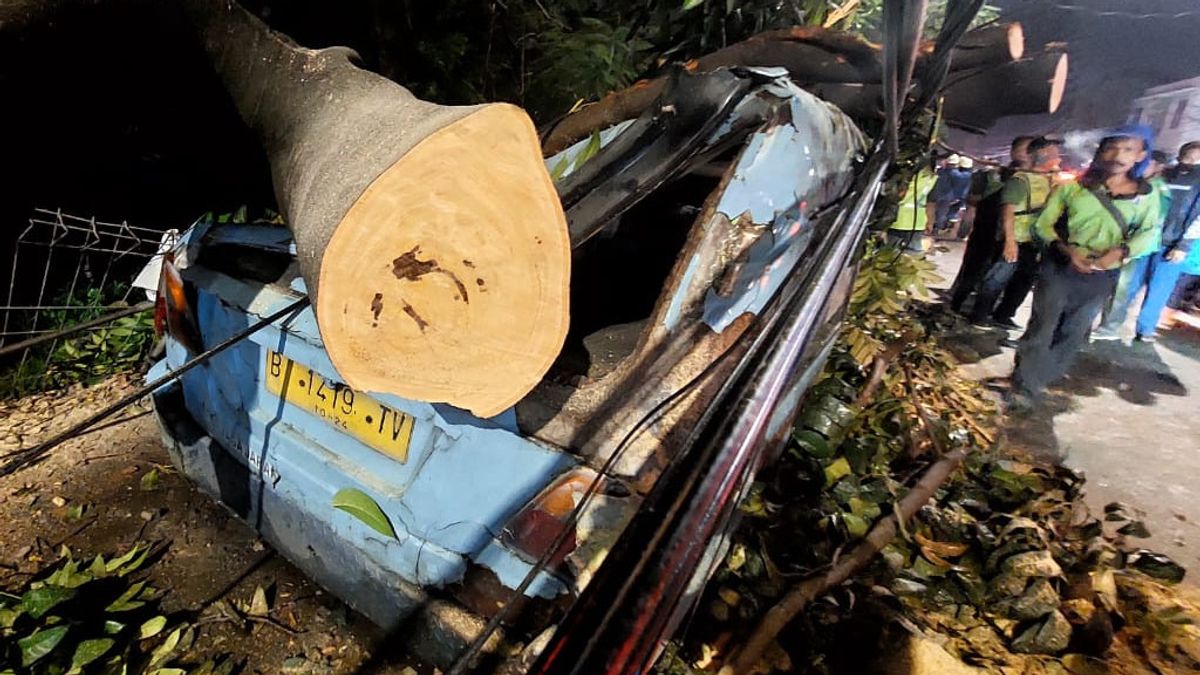 Angkot Fell Angsana Tree In Pasar Rebo，5名乘客因玻璃破碎而受伤