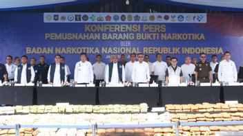 Soal Legalisasi Ganja di RI, Kepala BNN: Tujuannya Ekonomi atau Kesehatan?