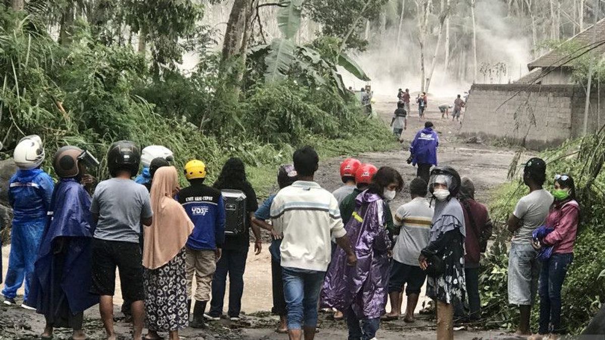 Le Lieu D’évacuation Des Victimes De Semeru Devient Un Spectacle, Citoyens: Habituellement Voir à La Télévision, Mais Je Veux Voir En Direct