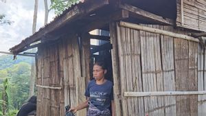The Sad Story Of Maria Evin In NTT Who Lives In A Hut Refuges When It Rains To The Ears Of Social Minister Risma