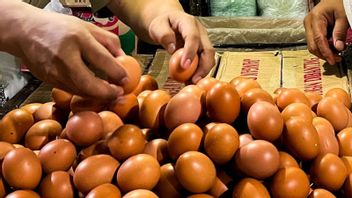Bapanas Pastikan Ketersediaan Telur Ayam Aman Hingga Lebaran 2026