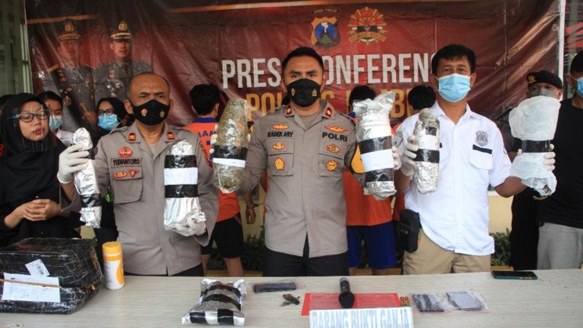Mahasiswa Pengedar Ganja Kering di Kota Malang Ditangkap, Polisi Amankan 1,4 Kg Mariyuana