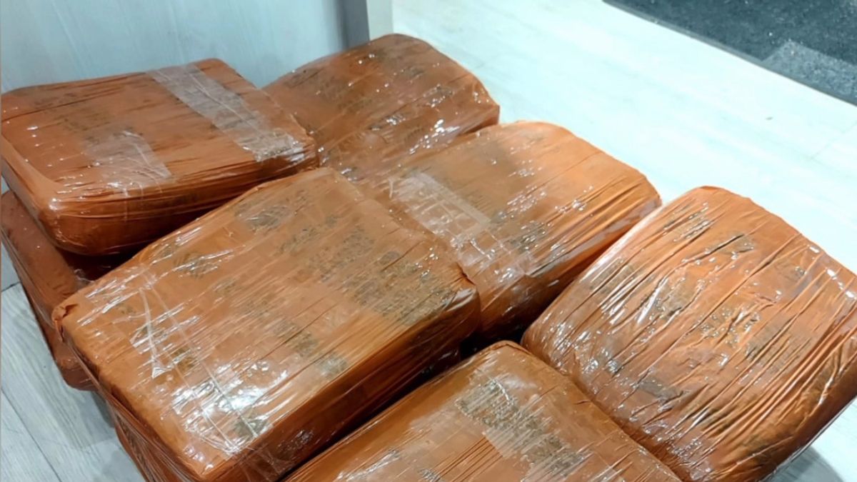 ar, la police démantelle une circulation de 34 kg de marijuana, le réseau de Sumatra du Nord-Jakarta, 5 personnes ont été arrêtées