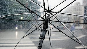 Cuaca Bali Hari Ini Senin  7 Februari Berpotensi Hujan Ringan-Lebat, BMKG: Waspada!