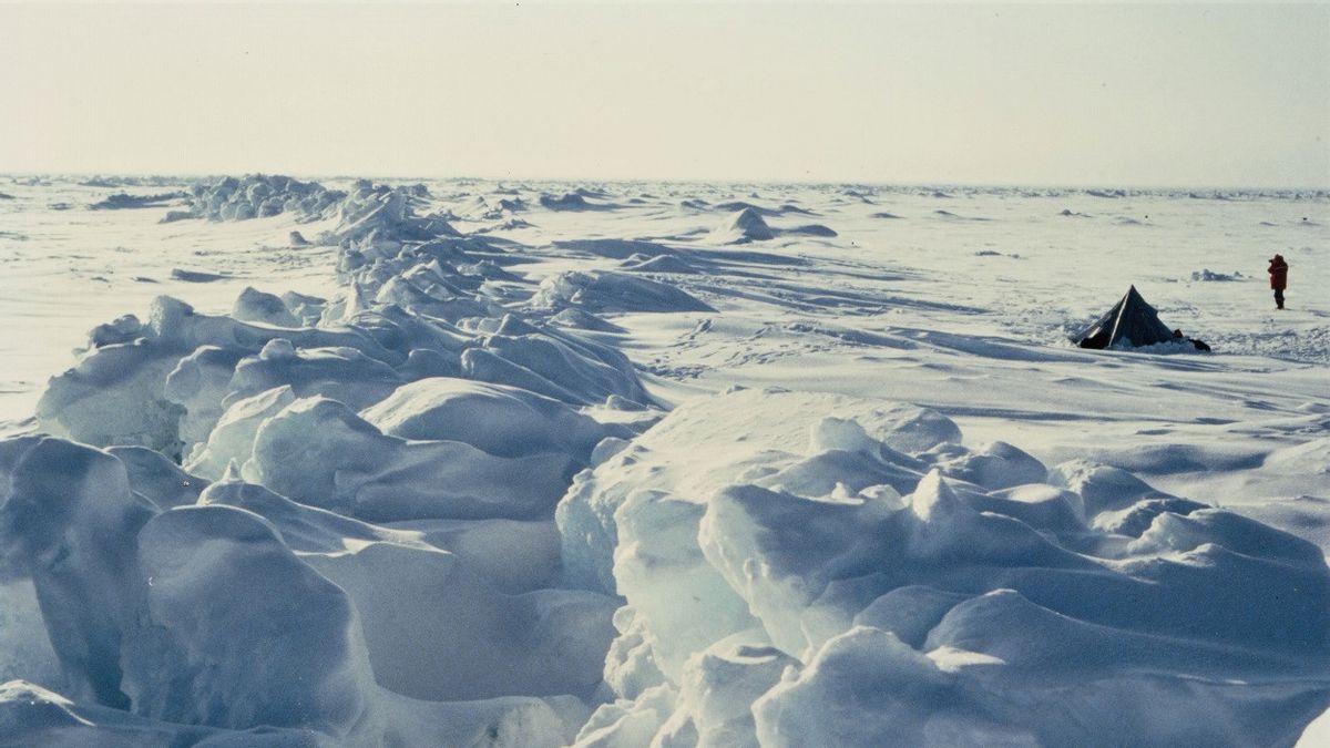 Membeku Selama 24.000 Tahun di Kutub Utara, Hewan Ini Dihidupkan Kembali oleh Ilmuwan