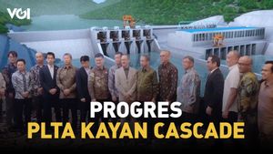 Pertemuan Bisnis di Jakarta, KHE Ungkap Progres PLTA Kayan Cascade