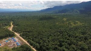 Selamat, Papua Barat Masuk dalam 'Lima Kemenangan Dunia' Bidang Lingkungan yang Dipublikasikan <i>National Geographic</i>