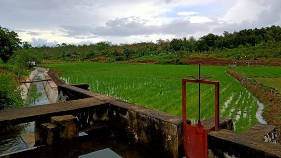 HKTI Optimistic Of Accelerating Irrigation Improvements Reducing Poverty In The South Coast