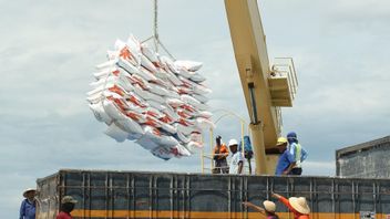 The Ministry Of Industry Calls There Are 1,600 Containers Detained Containing Rice