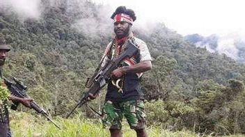 Susi Aircraft Has Been Sabotaged: Real Actions To Solve The Papuan KKB Problem Don't Have A Visit