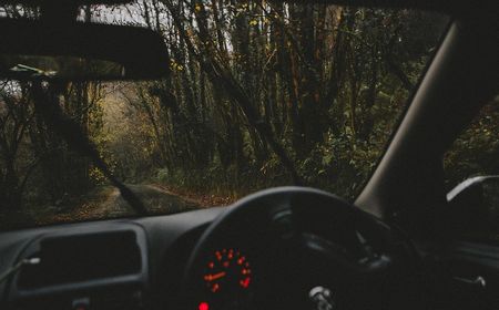 Penjelasan Polisi soal Viral Mobil di Tengah Sawah