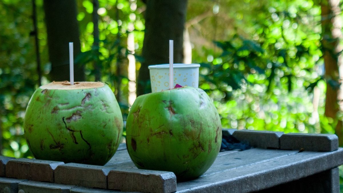 Magical Drinks, This Is The Reason Why Green Coconut Water Is Good For The Body