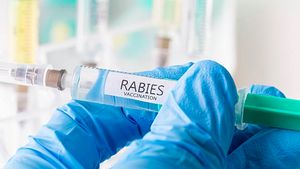Kasus Rabies Meningkat di Bangkok, Wisatawan Diminta Hati-Hati