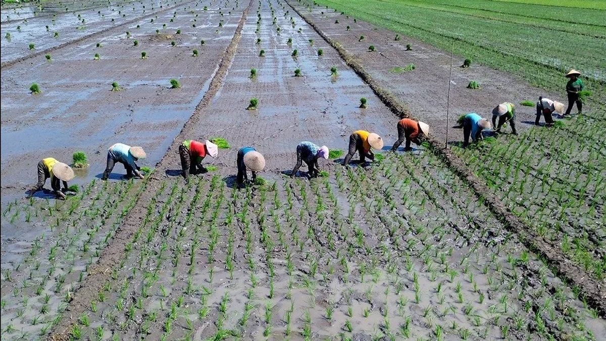 Anggota DPR F-Gerindra Dorong Pembentukan Badan Penyelesaian Konflik Agraria Nasional