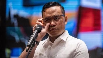 Pertamina NRE Launches the First Kopdes Merah Putih PV Plant on Sembur Island