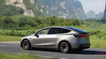 モデルY正式打ち上げ、テスラセハルガからの最新の6人の乗客SUV、7億6600万ルピア