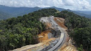 Jalan Trans Papua 50,14 Km Mulai Dikerjakan, Biaya Investasi Capai Rp3,3 Triliun