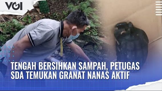 VIDEO: Heboh Penemuan Granat Nanas Aktif di Tempat Sampah