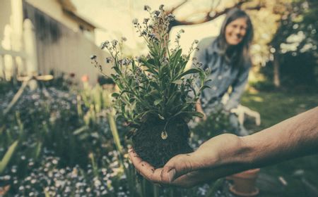 Faktanya, Plant Therapy Memiliki 5 Manfaat Positif Selain Meningkatkan Suasana Hati