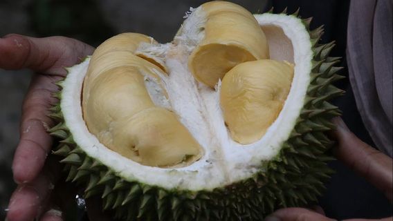 The Disclosure Of 19 Kg Of Shabu Hidden In Bengkalis Durian Gardens Appreciated By The Governor Of Riau