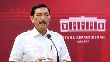 Luhut assure que la révision du Perpès 191 se termine avant que Prabowo ne soit nommé président