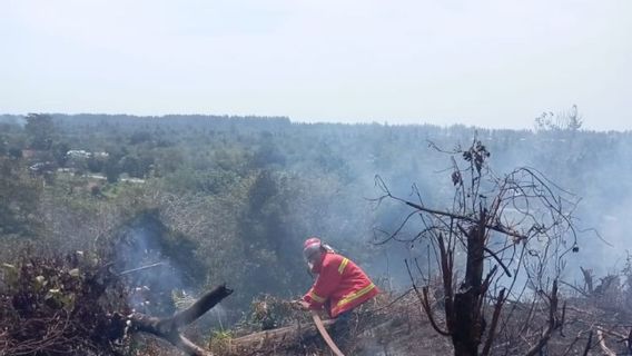 Lahan 1 Hektare di Gampong Alue Piet Aceh Jaya Terbakar, Polisi Turun Tangan Telusuri Unsur Kesengajaan