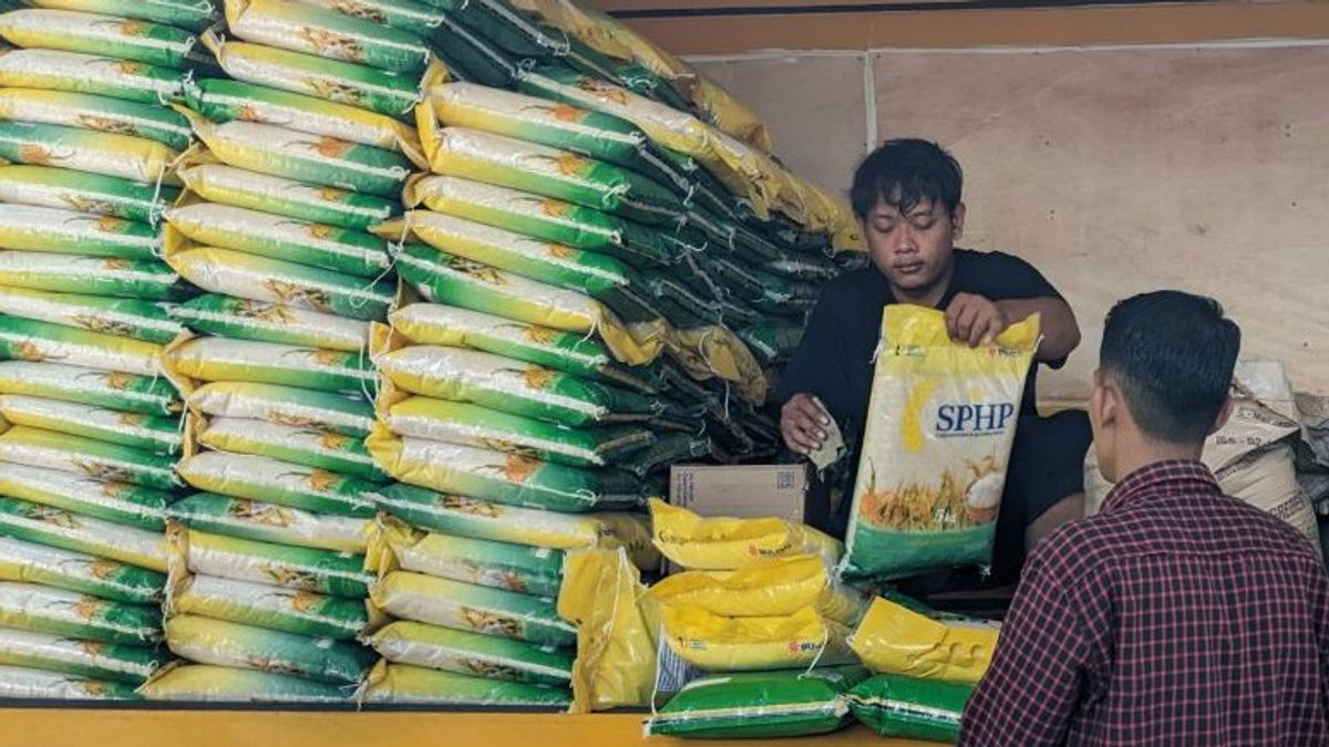 L'économiste conseille à Perum Bulog de développer un système d'alerte précoce sur les stocks de riz national