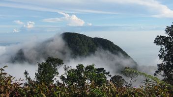 Sebanyak 1.314 Orang Dilibatkan dalam Pemulihan Ekosistem Gunung Halimun Salak