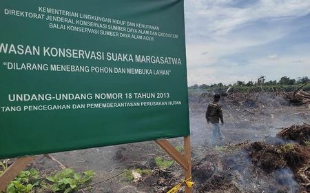 Suaka Margasatwa Rawa Singkil Berubah Jadi Lahan Kebun Kelapa Sawit, Aktivis Lingkungan Desak Aparat Bertindak