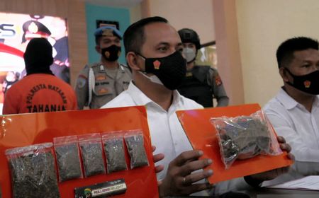 Resign dari Manajer Hotel, Pria Ini Alih Profesi Jual Ganja ke Para Bule di Lombok