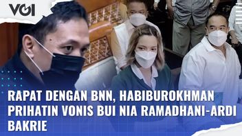 VIDEO: The Verdicts Of Bui Nia Ramadhani And Ardi Bakrie Are Highlighted By The DPR During A Meeting With BNN