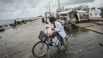 Banjir Rob Mulai Terjang 10 RT di Jakarta Utara, BPBD DKI Ingatkan No Kontak Darurat 112