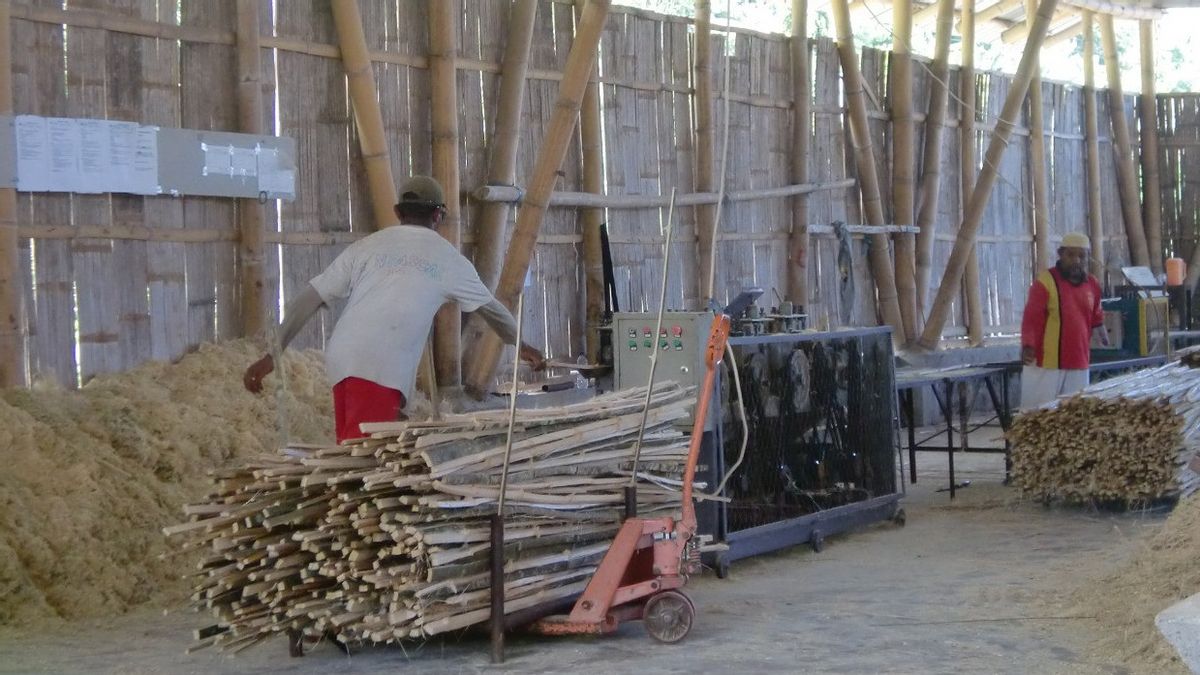 Bamboo Improves Economic And Environmental Quality In NTT