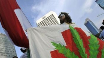 医療大麻を却下した憲法裁判所に対する保健法委員会の対応