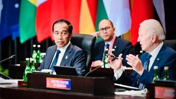 佐科威在G20巴厘岛峰会上两次呼吁停止战争：停止战争，我再说一遍，停止战争