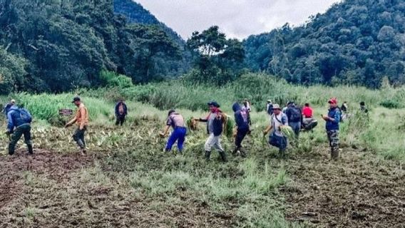 Here's How Perhutani Restores Edelweis Field In Ranca Upas, Ciwidey That Was Destroyed By The Trail Motor Community