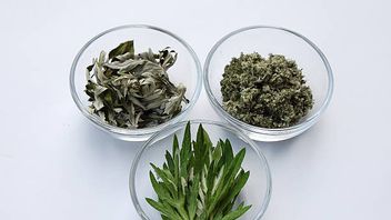 Getting To Know The Benefits Of Mugwort, Wild Grass Similar Plants That Can Prevent Skin Aging