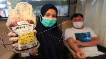 Polisi Periksa 14 Saksi Soal Dugaan Pengiriman Darah PMI ke Tangerang