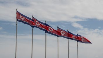 Last Saturday At 10 Pm, 1 South Korean Walked Into North Korea Via DMZ, Who Is He?