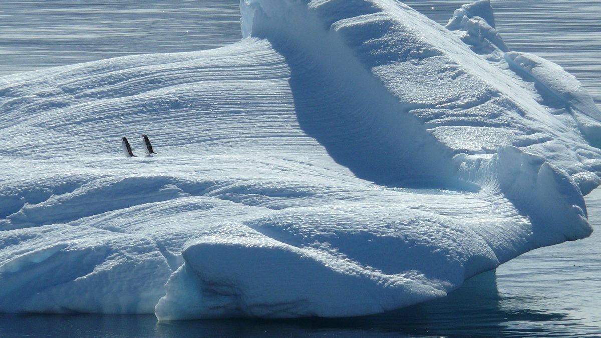 Petualangan Robert Peary, Manusia Pertama yang Menjelajahi Kutub Utara
