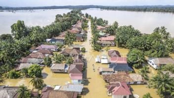  7 Kabupaten-Kota di Jambi Terendam Banjir, BPBD Minta Naikkan Status Bencana