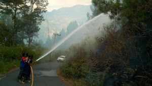 Kebakaran Lahan Seluas 3 Hektare Terjadi di Aceh Tengah