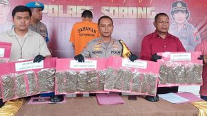 Pengedar Ganja 1,2 Kilogram Ditangkap di Pelabuhan Sorong Papua